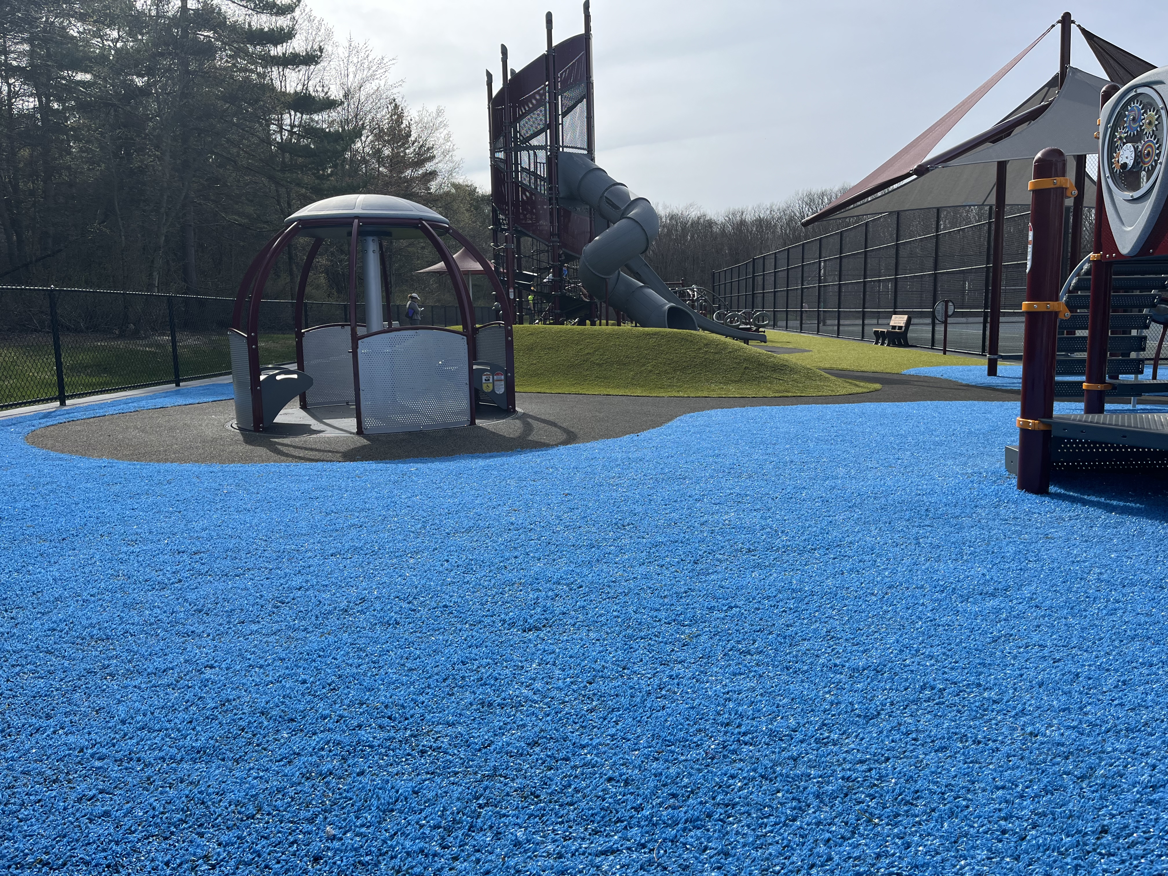 Ellicott Elementary - Ellicott School orchard park2